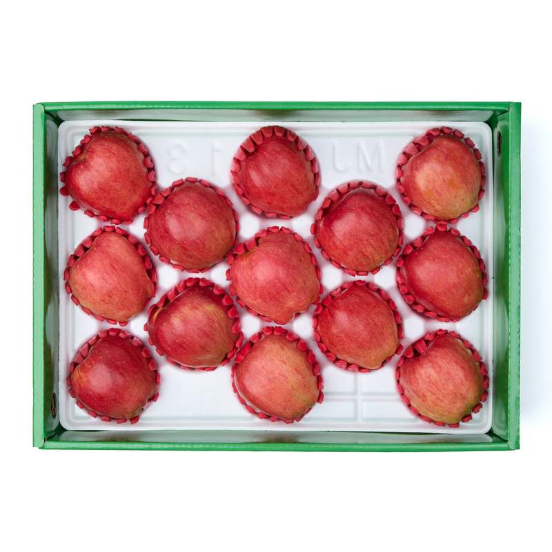 설날을 더욱 특별하게 만들어줄 과일 선물 세트 추천