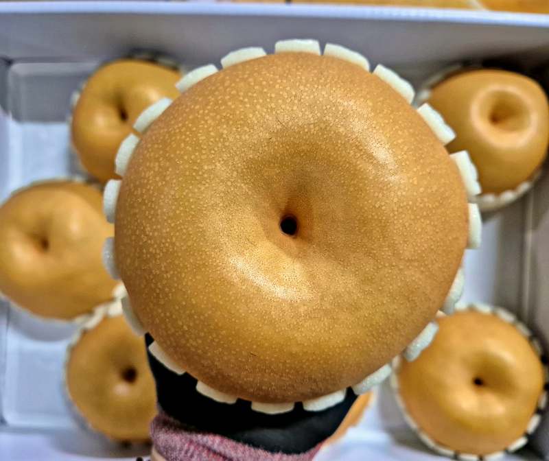 명절 선물로 딱 좋은 나주 배, 신선하고 달콤한 신고배 세트 소개