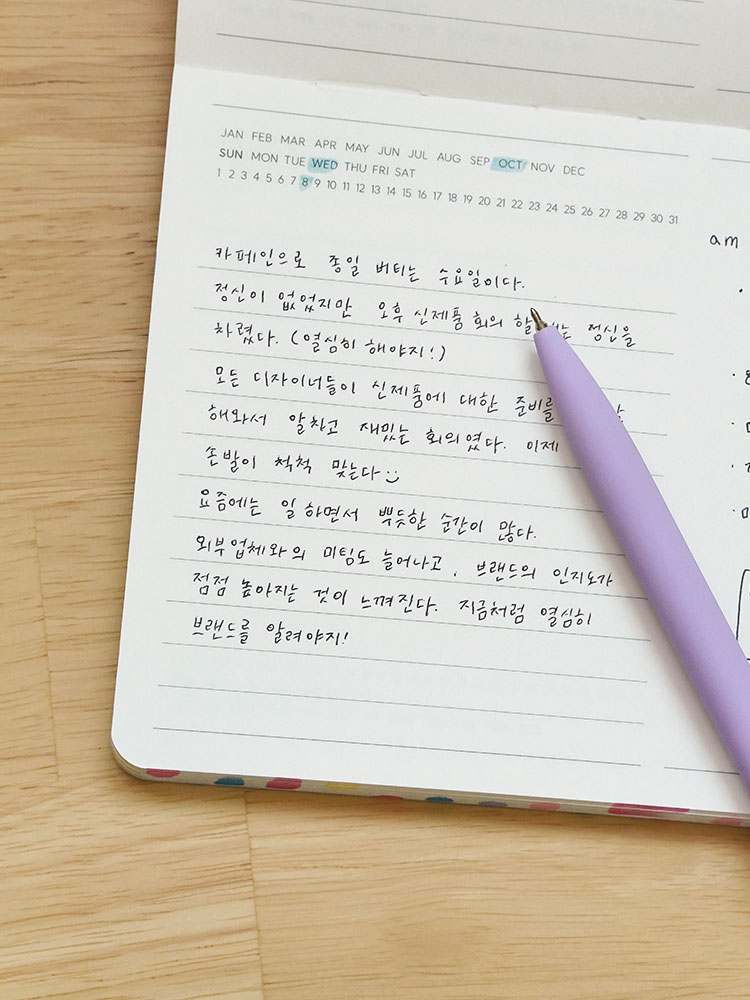 일상 속 소중한 기록, 3개월 동안 매일 쓰는 미니 만년 다이어리 추천