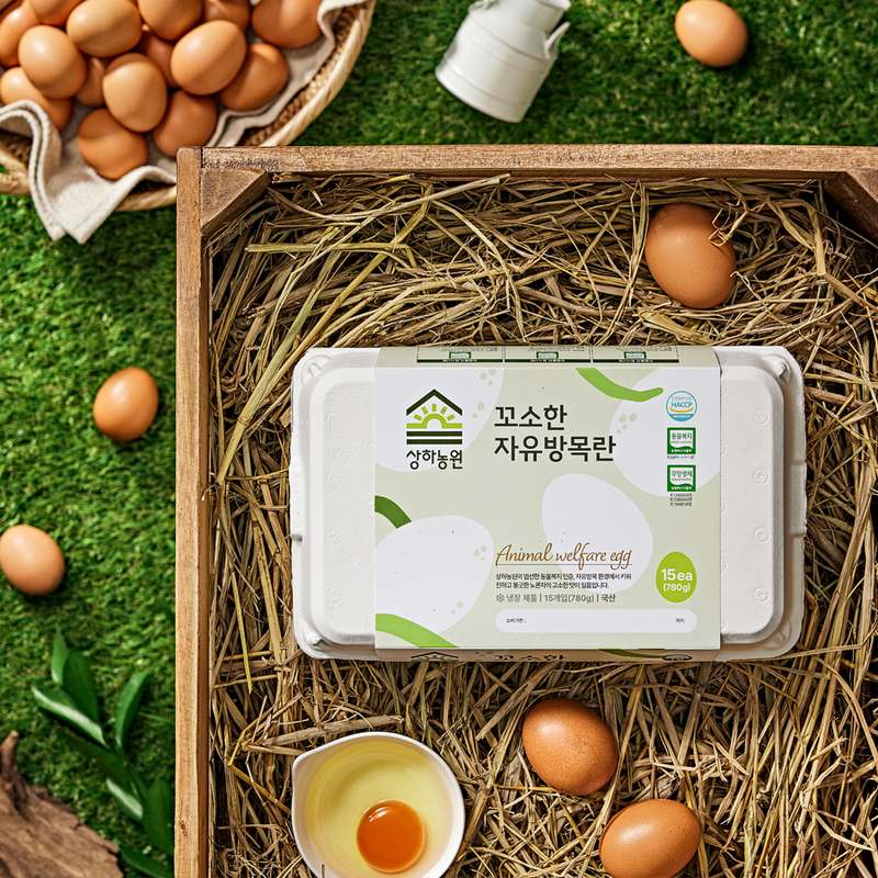 신선하고 건강한 자유 방목 유정란, 집에서 간편하게 즐기기!