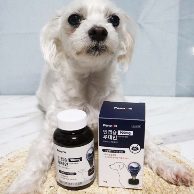 강아지 눈 건강을 위한 영양제, 이제 걱정 끝!