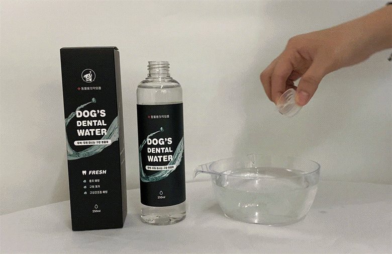 강아지 입냄새와 치석 걱정 끝! 간편하게 치아 관리하는 방법