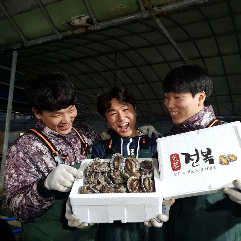 명절 선물로 딱! 신선한 전복 세트와 손질도구로 특별한 하루를 만들어보세요