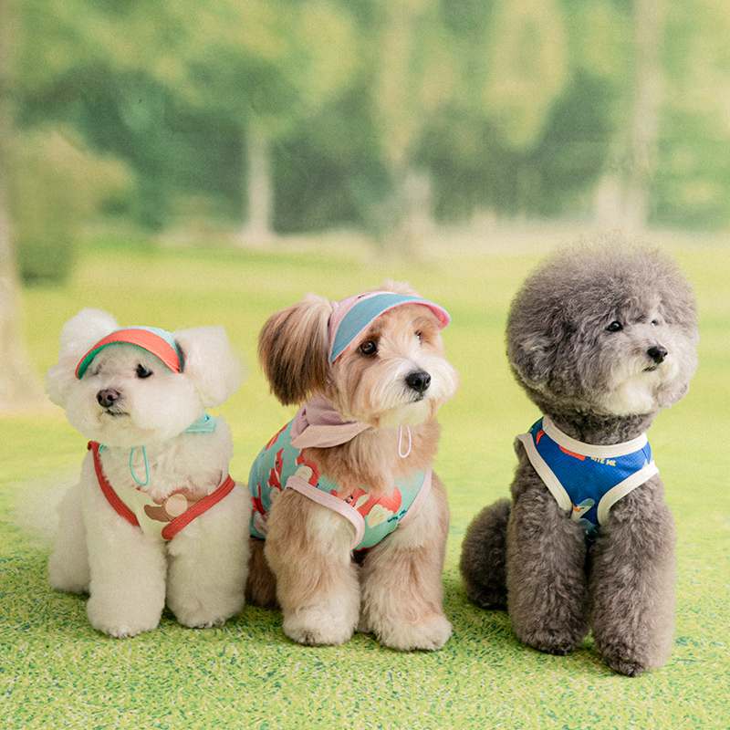 더운 여름 강아지에게 딱! 시원한 쿨 조끼 추천