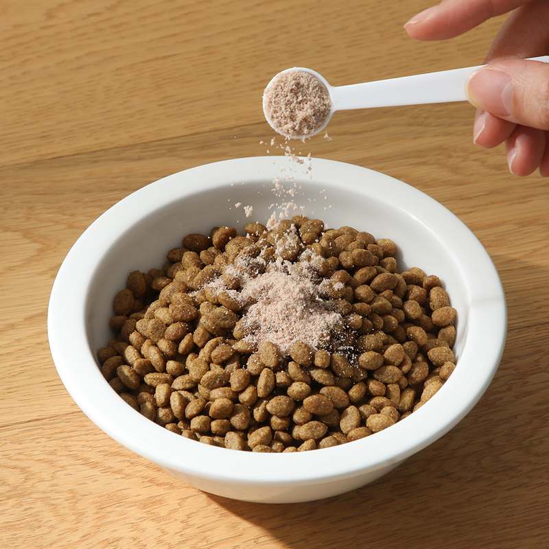 우리 강아지와 고양이 건강을 위한 기관지 영양제 추천, 쉽게 챙기기!