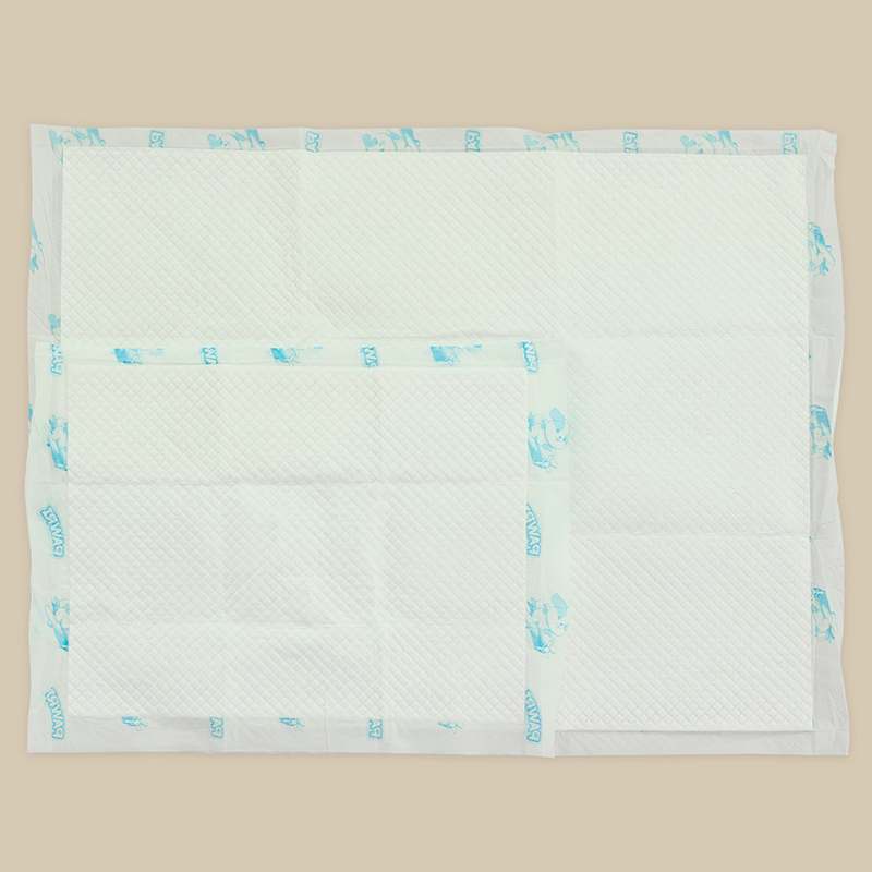 일상에서 편하게 쓰는 대형 배변패드 추천, 포우리 퀵드라이 후기