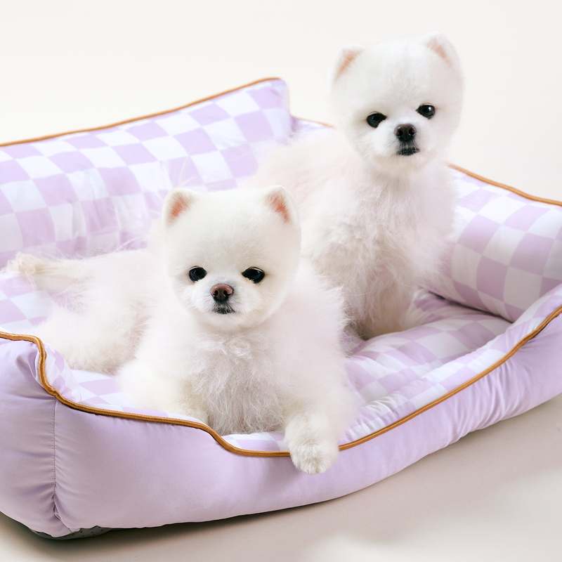 더운 여름철 강아지와 고양이도 시원하게! 쿨링 방석 추천