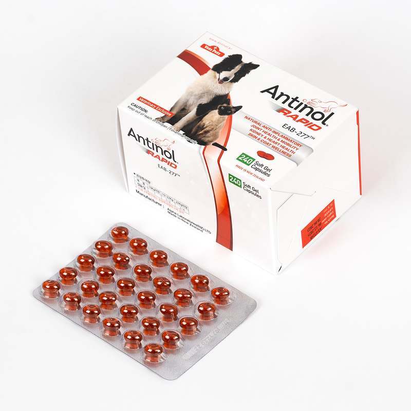 반려동물 관절 건강, 이렇게 챙기면 좋아요! 강아지와 고양이 영양제 추천