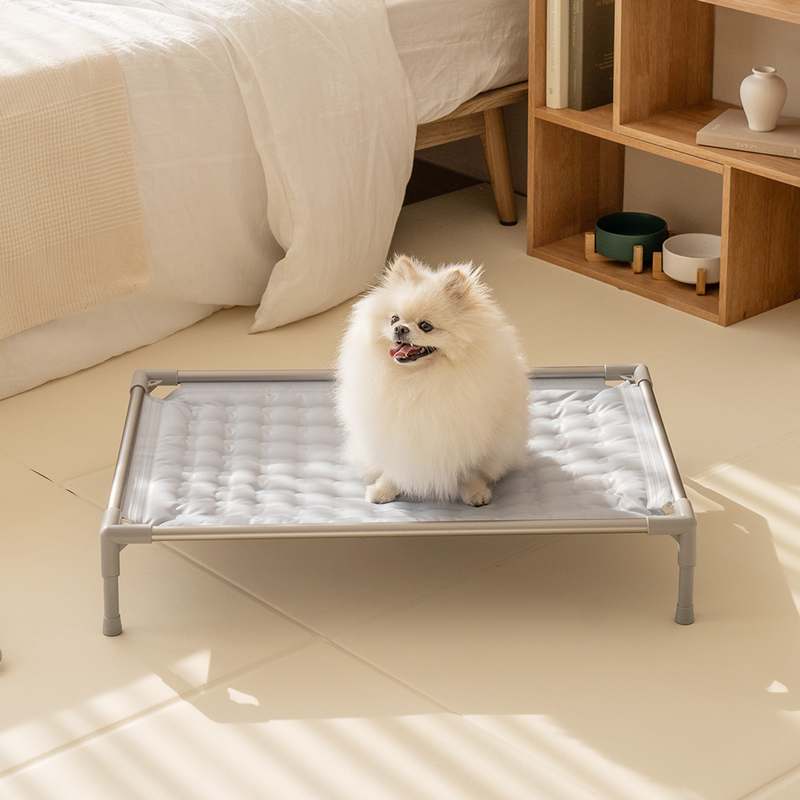 더운 날씨에 딱! 강아지와 고양이 모두 시원하게 쉴 수 있는 쿨매트 추천