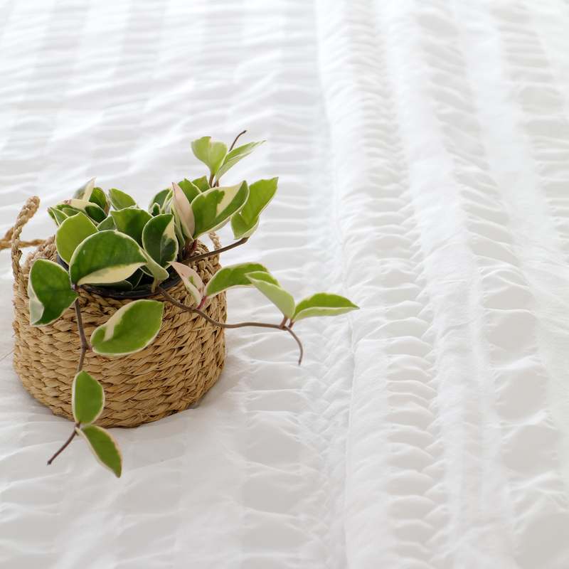 여름철과 간절기에 딱! 손쉽게 따뜻함을 더하는 퀼팅 침구 세트