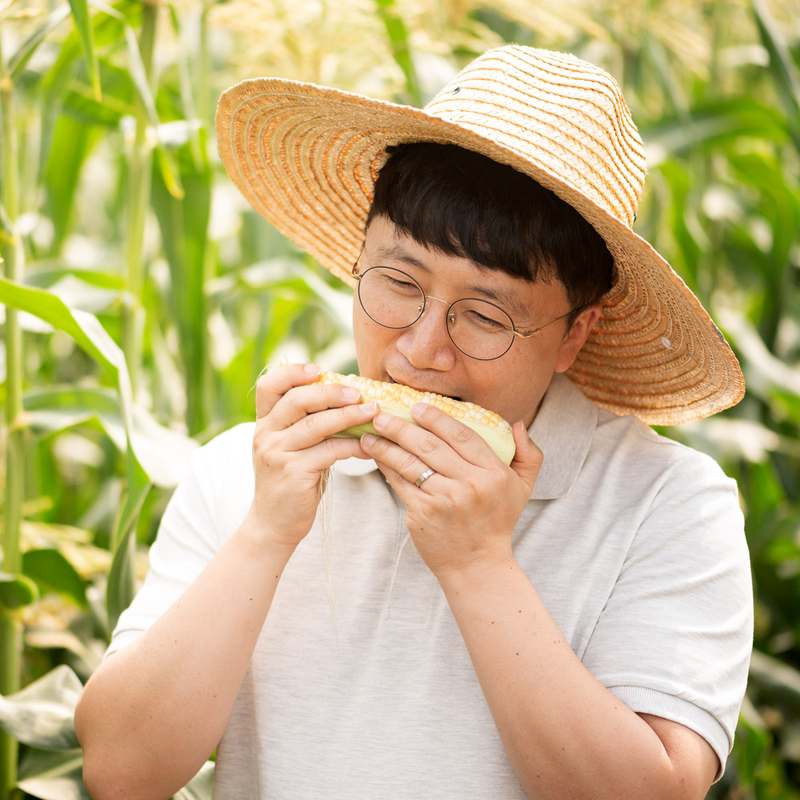 달콤하고 신선한 초당옥수수, 집에서 간편하게 즐기기