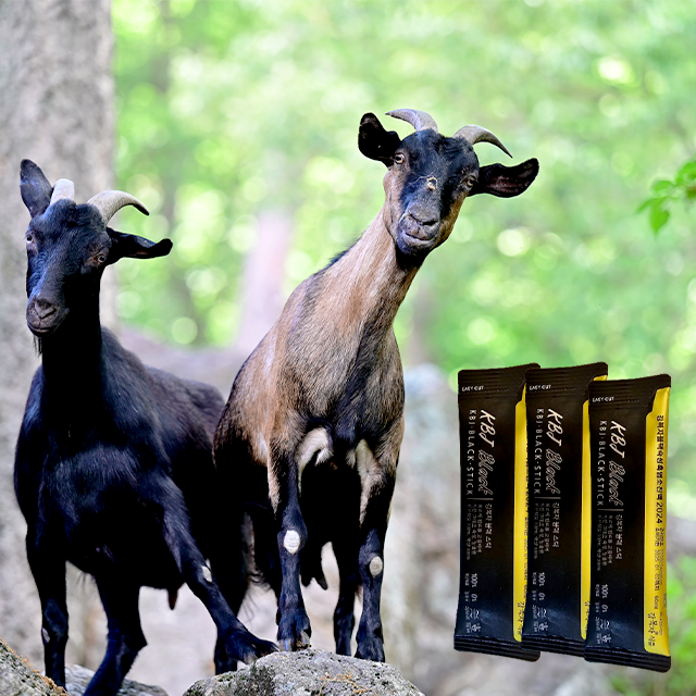 가족 건강을 챙기고 싶다면, 강복자 블랙 숙성 흑염소 세트 추천해요!