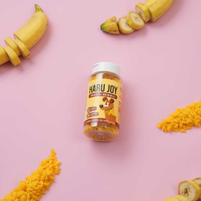 다이어트하는 강아지에게 딱! 저칼로리 노즈워크 간식 추천