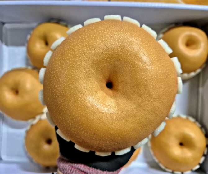 명절 선물로 딱 좋은 나주배 신고배 7.5kg 세트, 보자기까지 포함!