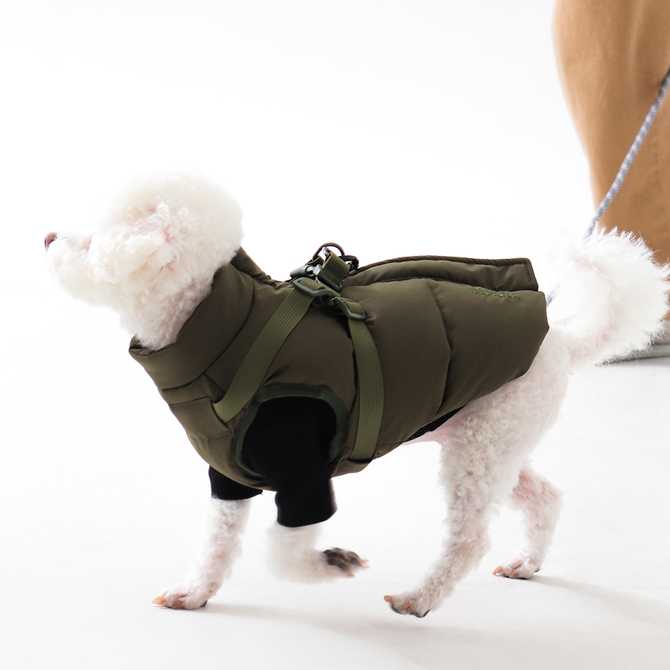 따뜻하게 입히기 좋은 강아지 겨울 조끼, 패딩 하네스 추천