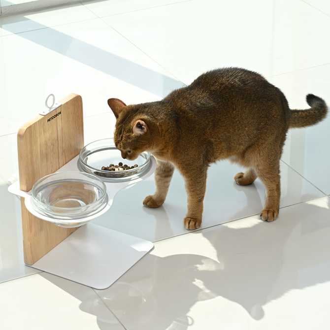 집에서 편하게 사용할 수 있는 원목과 철제 높이 조절 강아지밥그릇