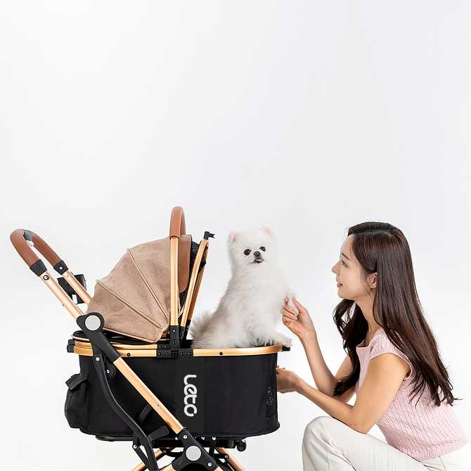 가볍고 접이 쉬운 반려동물 유모차, 어떤 점이 좋을까?