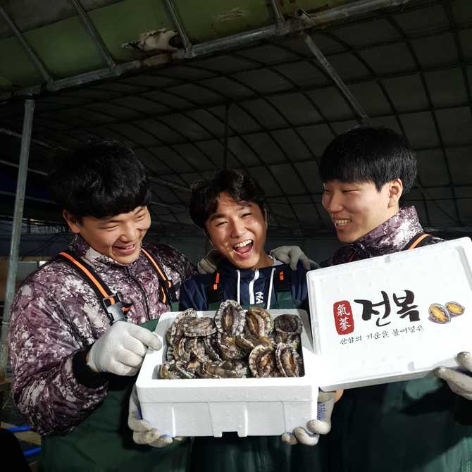 명절 선물로 딱 좋은 신선한 전복 세트, 손질도구까지 함께!