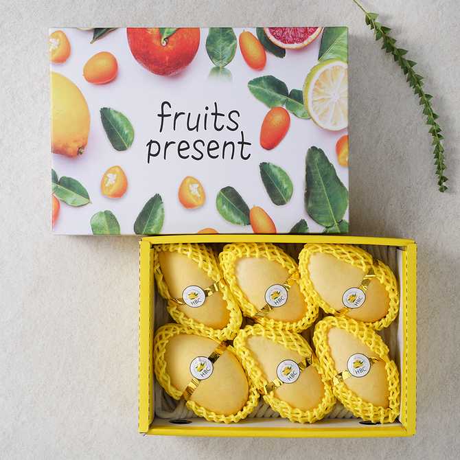 명절 선물로 딱! 다양한 과일이 가득한 혼합 세트 소개