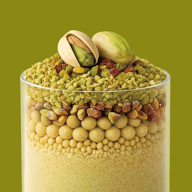 다양한 맛을 한번에! 플라이밀 단백질 쉐이크 13종 세트 소개