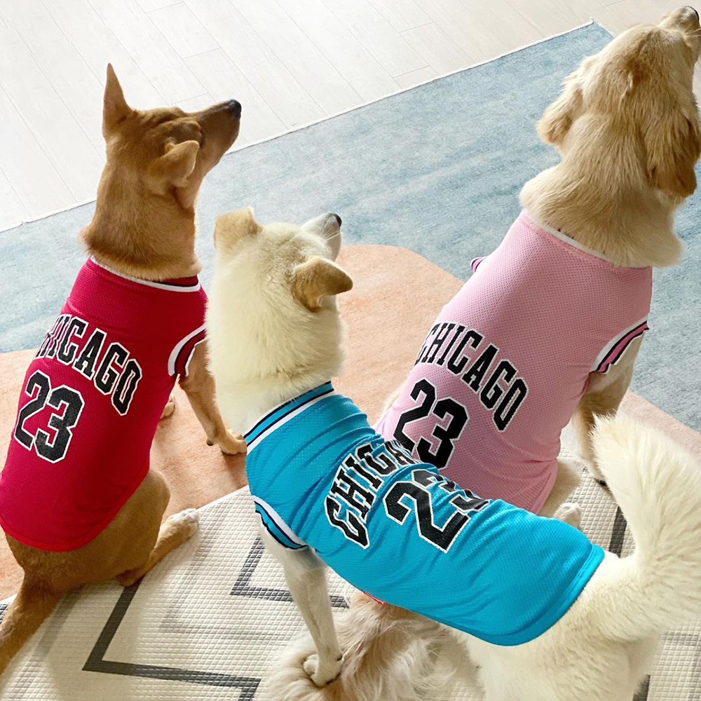 강아지 여름 옷, 편하고 귀엽게 입혀보세요!