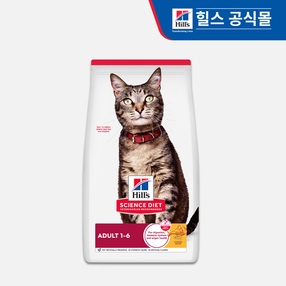 고양이에게 딱 맞는 어덜트 사료, 힐스 2kg로 건강 챙기기