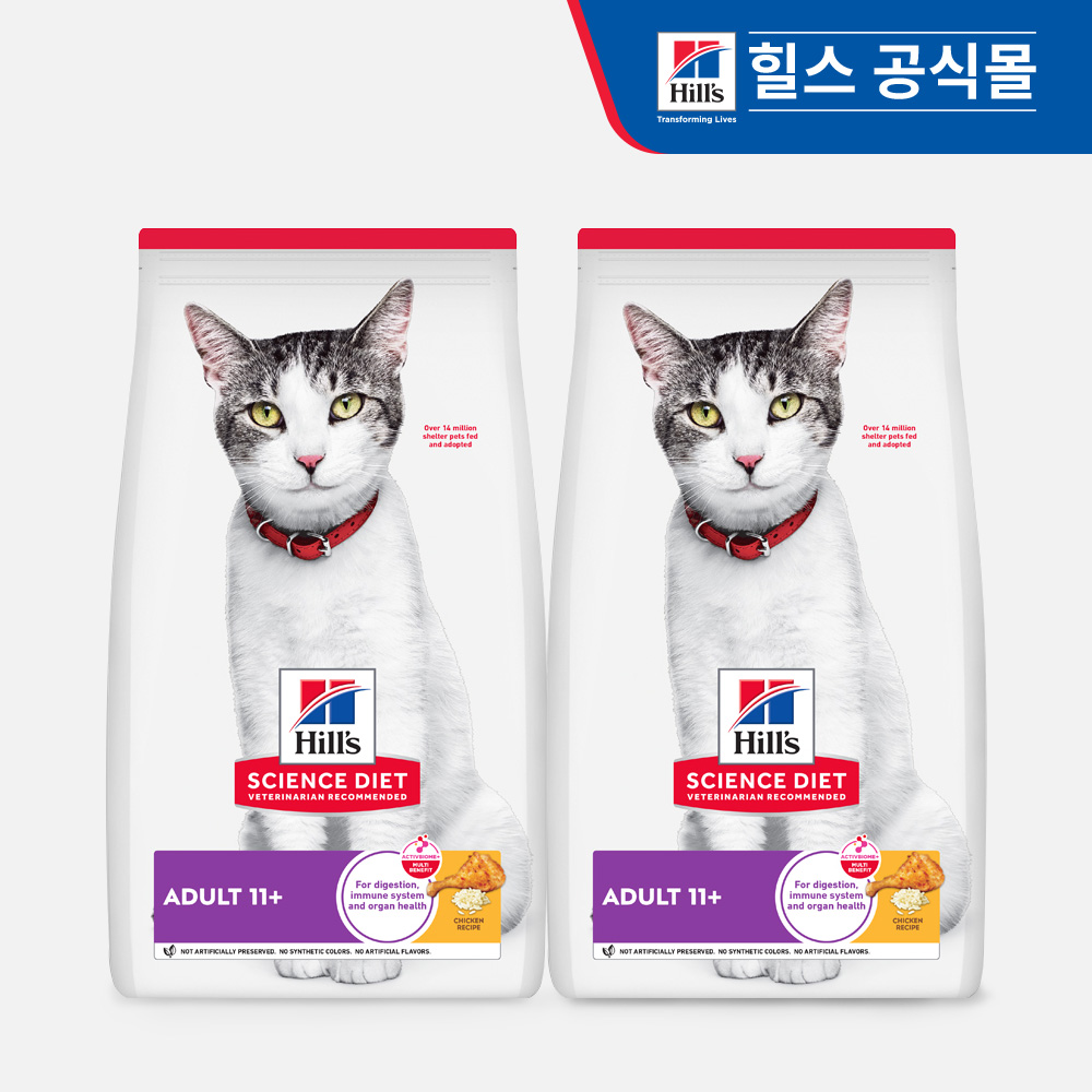고양이 사랑하는 분들을 위한 힐스 노령묘 사료 추천! 편하게 알아보세요