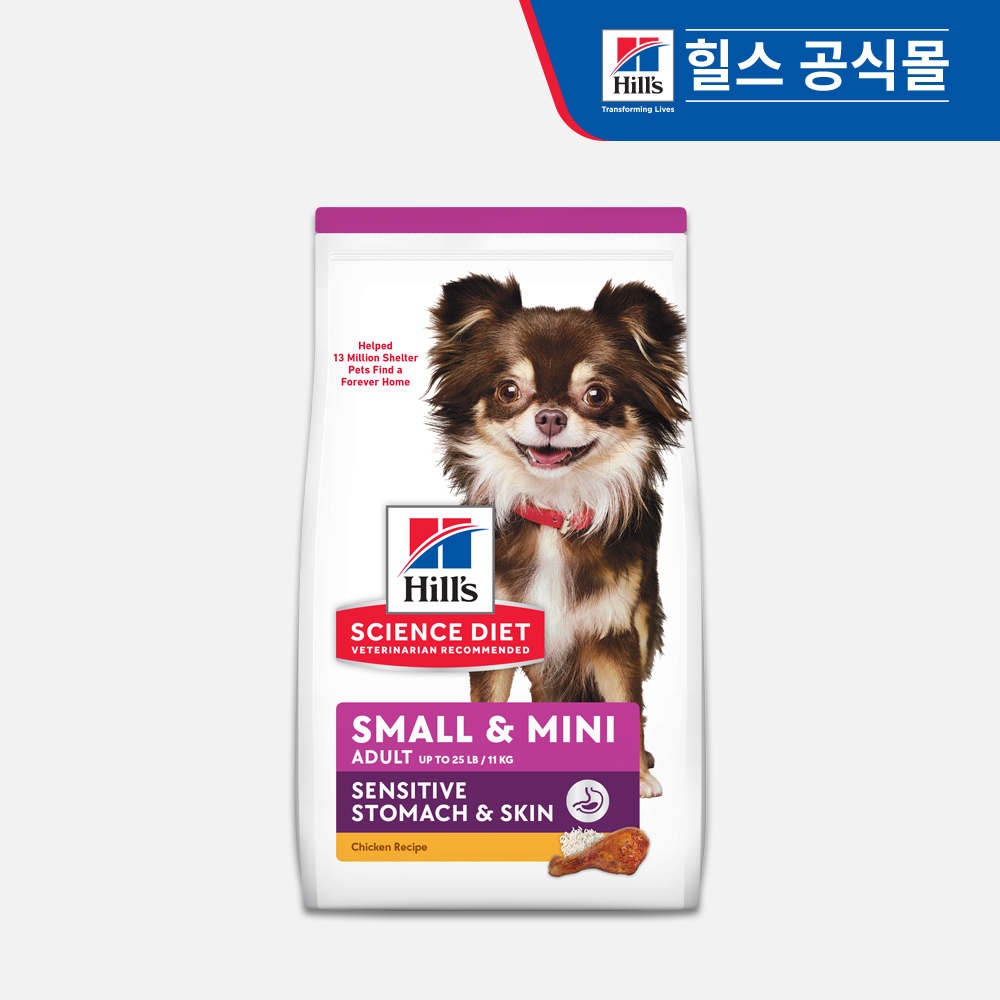 반려견을 위한 건강한 식사, 강아지 사료 추천과 선택 팁