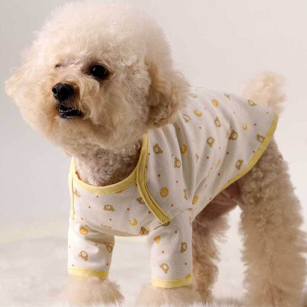 우리 강아지에게 딱 맞는 편안한 반팔 옷, 어떤 게 좋을까?