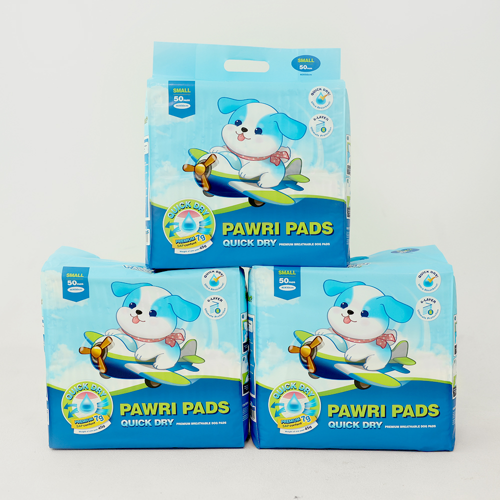 편리하고 흡수력 좋은 배변패드, 이렇게 선택하세요!