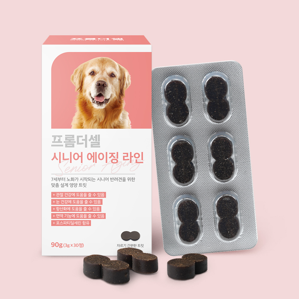 우리 강아지 노견을 위한 건강한 하루, 이렇게 챙기세요!