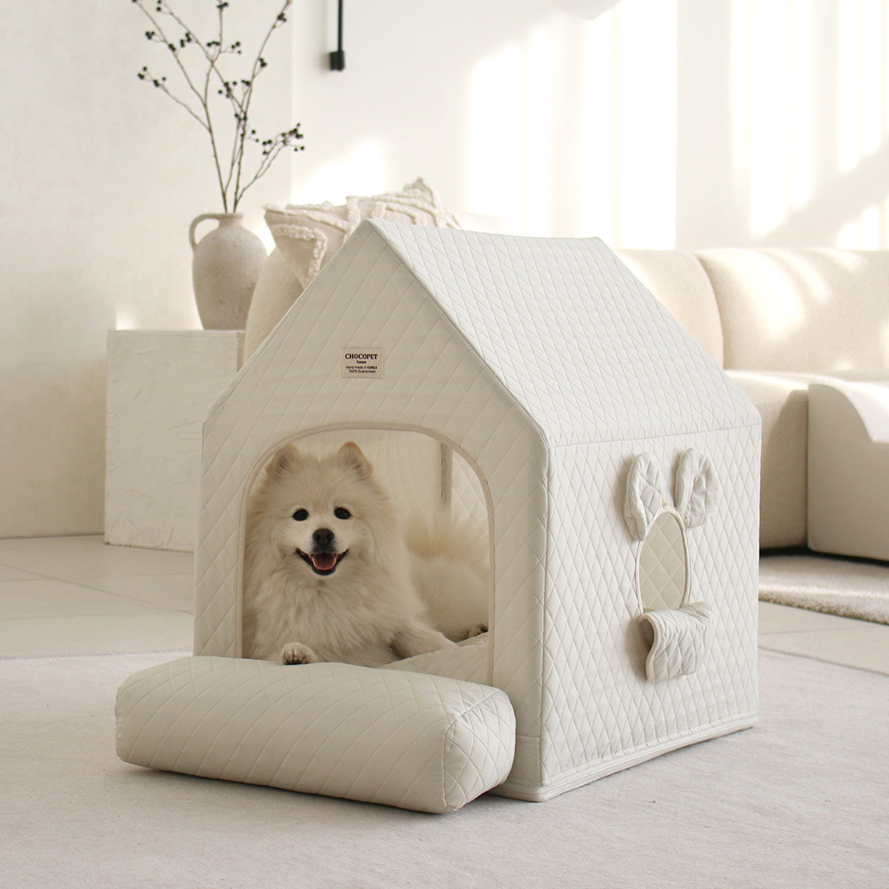 우리 강아지에게 딱 맞는 사계절 강아지집, 편하게 선택하는 방법