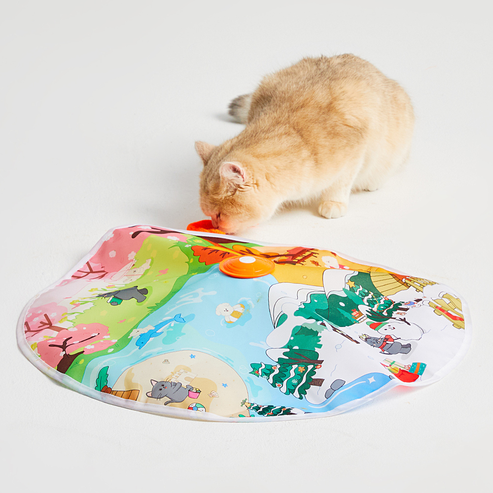 우리 고양이도 좋아하는 움직이는 자동 꼬리잡기 장난감, 한번 살펴보세요!