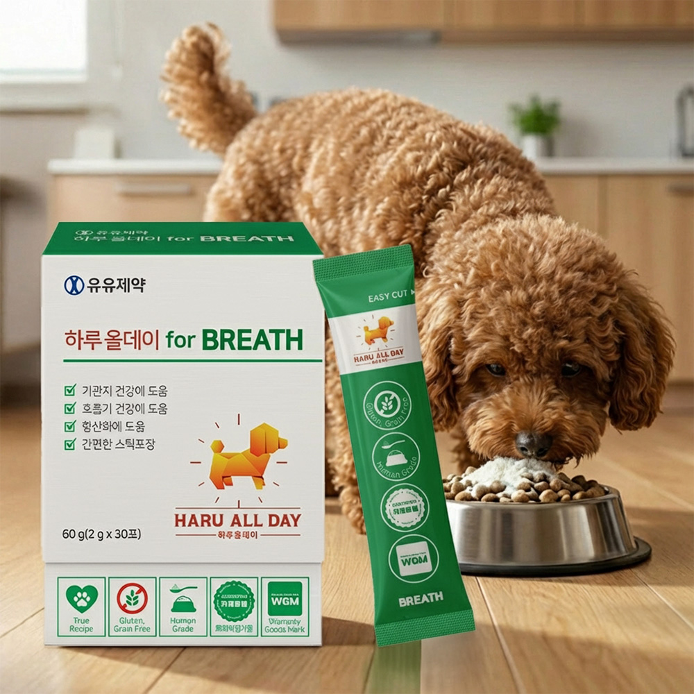 반려견 건강을 위한 기관지 영양제, 이렇게 선택하세요!