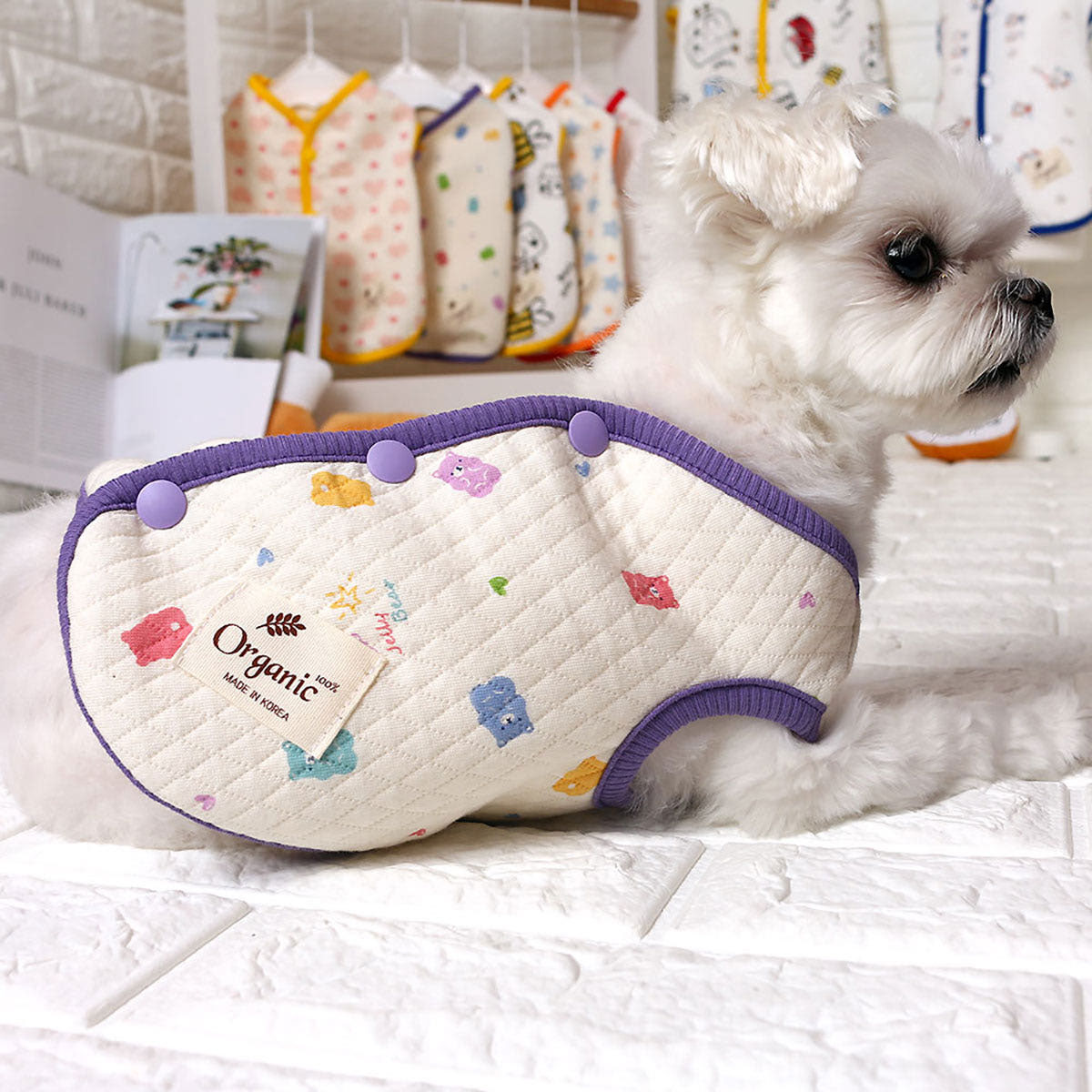 집에서 강아지 옷 입히기, 편안하고 귀여운 잠옷 추천!