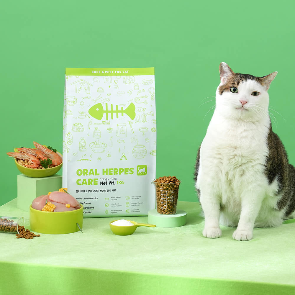 고양이 구내염과 허피스 걱정 끝! 구강 건강을 위한 추천 사료