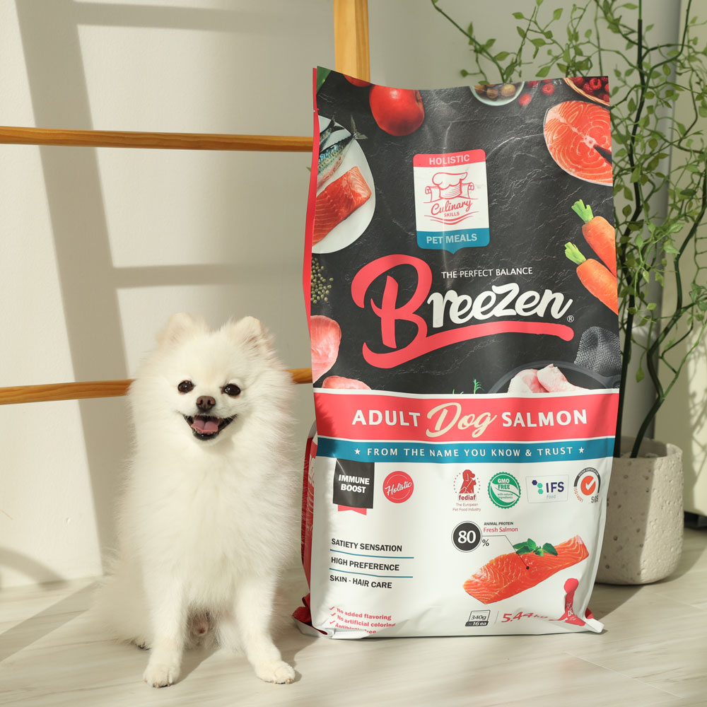 강아지에게 딱 맞는 연어 사료, 브리젠 홀리스틱으로 건강 챙기기