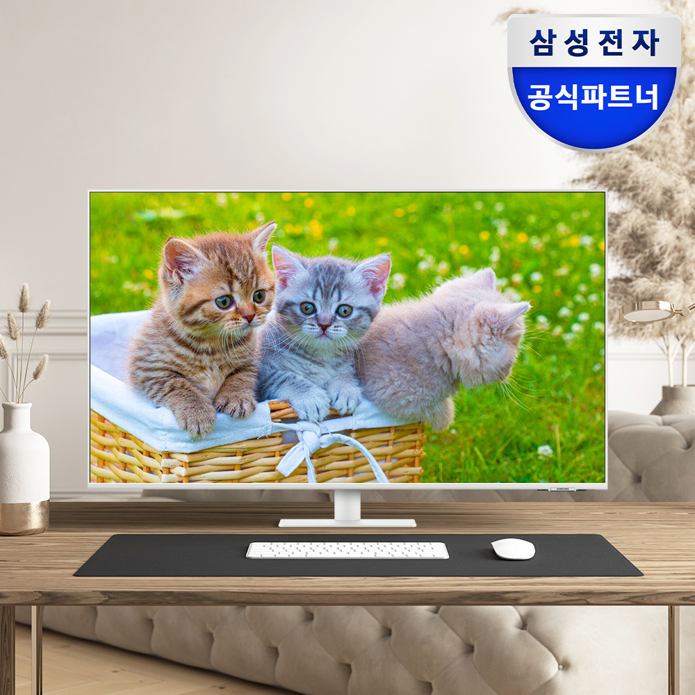 일상에서 딱 맞는 43인치 4K UHD 스마트 모니터 추천, 삼성전자 LS43FM701
