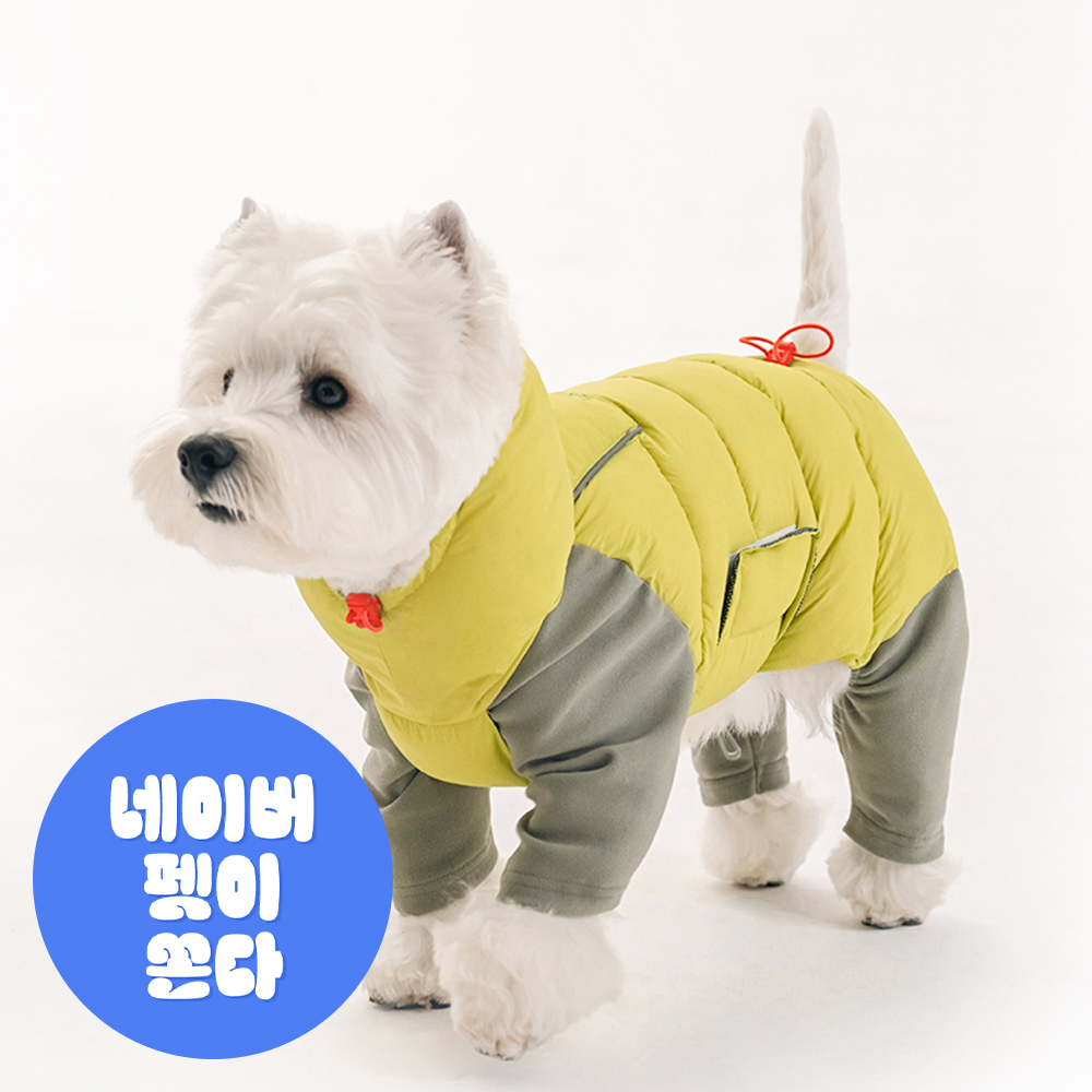 포근한 겨울 강아지 옷, 따뜻하게 입혀보세요!