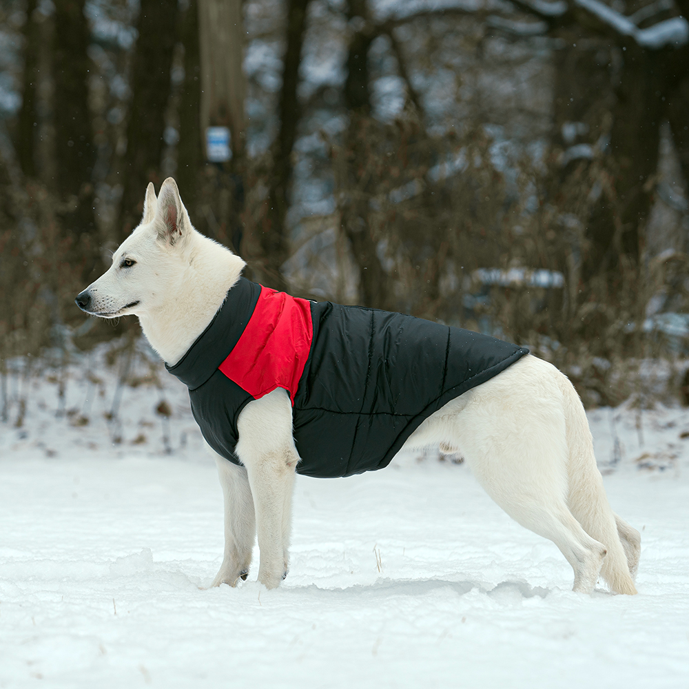 큰 강아지용 따뜻한 패딩 조끼, 가볍고 편안하게 입혀보세요!