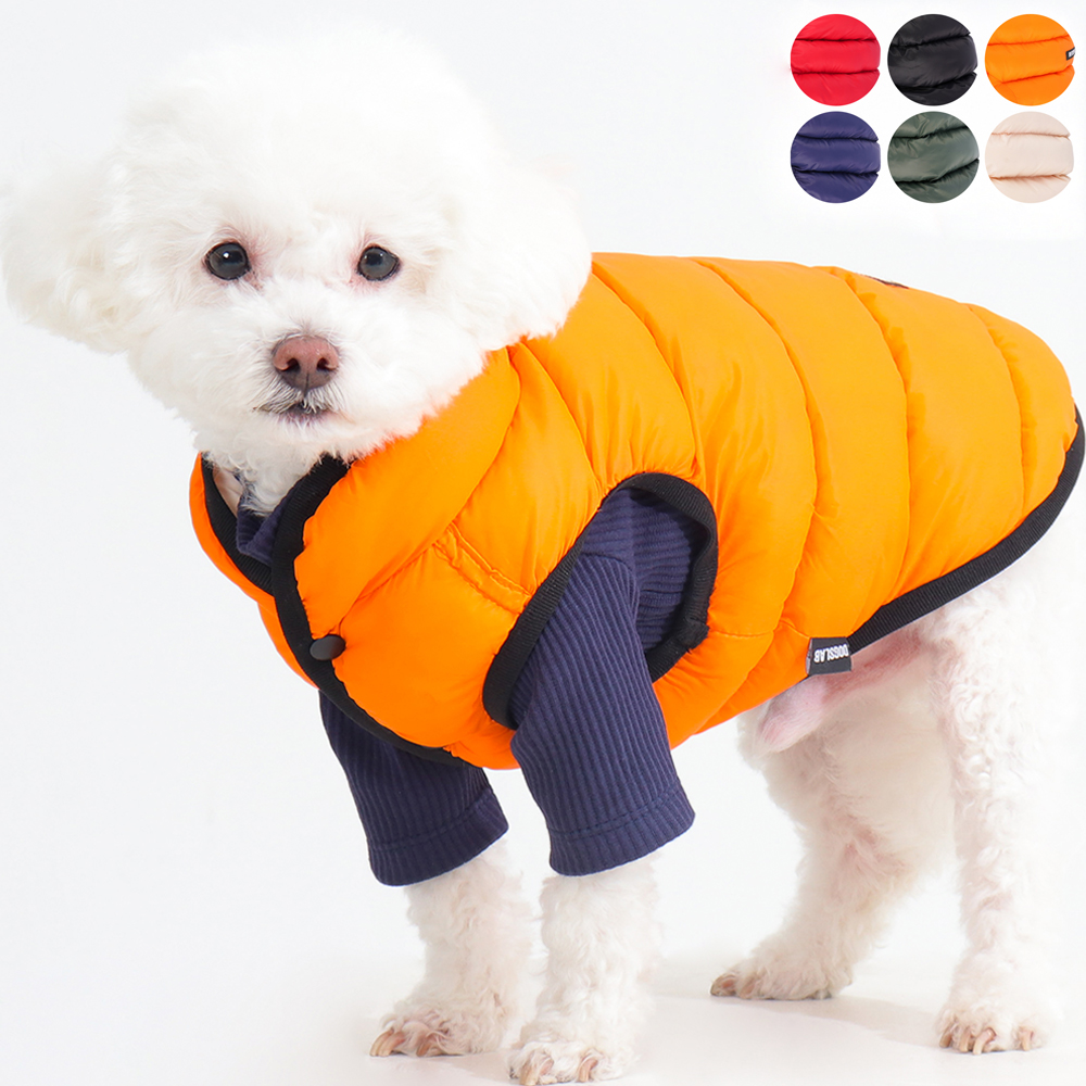 강아지 겨울 옷, 가볍고 따뜻하게 입히는 방법 알려드릴게요!