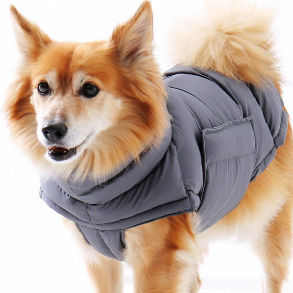 따뜻하고 귀여운 강아지 패딩 조끼, 우리 강아지에게 딱 맞는 겨울 옷 찾기