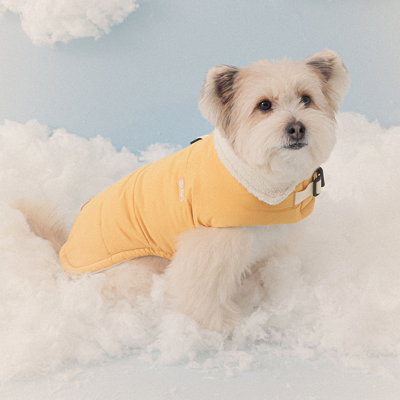 포근한 겨울, 강아지에게 딱 맞는 따뜻한 패딩 조끼 추천!