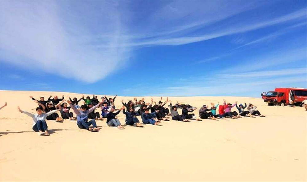 시드니에서 즐기는 포트스테판 하루 여행, 돌핀크루즈와 와이너리까지 함께!