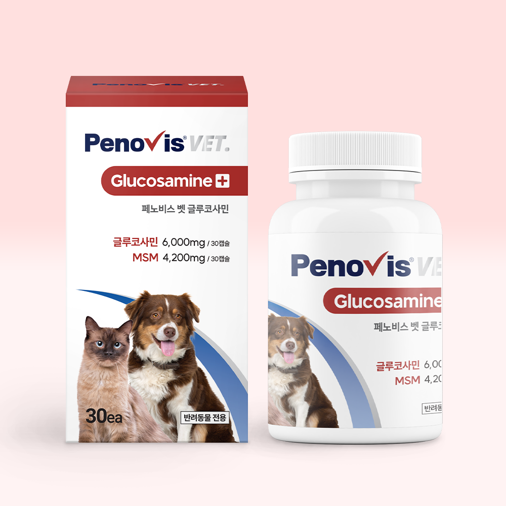 반려견과 고양이 건강을 위한 관절 영양제, 이렇게 선택하세요!