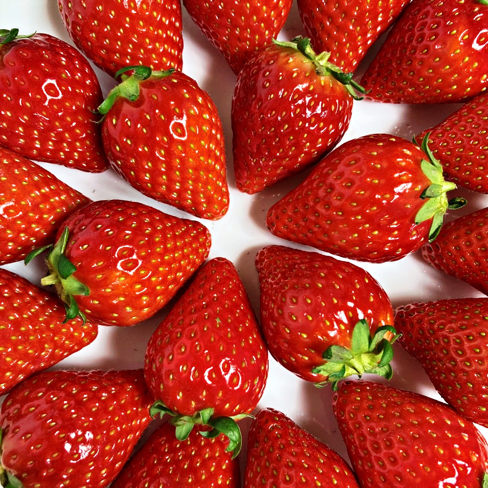 달콤하고 신선한 딸기, 집에서 즐기기 좋은 추천 상품이에요!