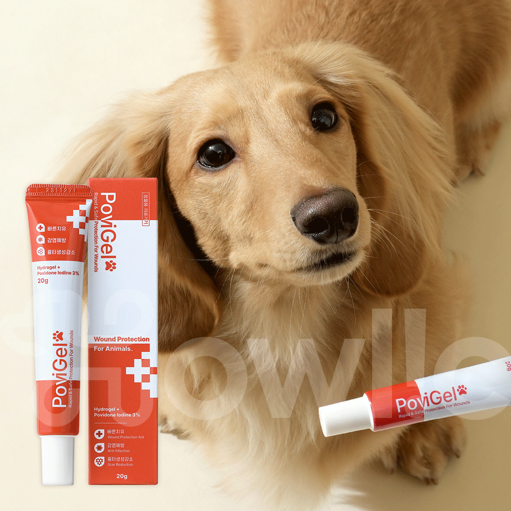 반려동물 피부 건강을 위한 포비겔 연고, 쉽게 이해하고 선택하세요!