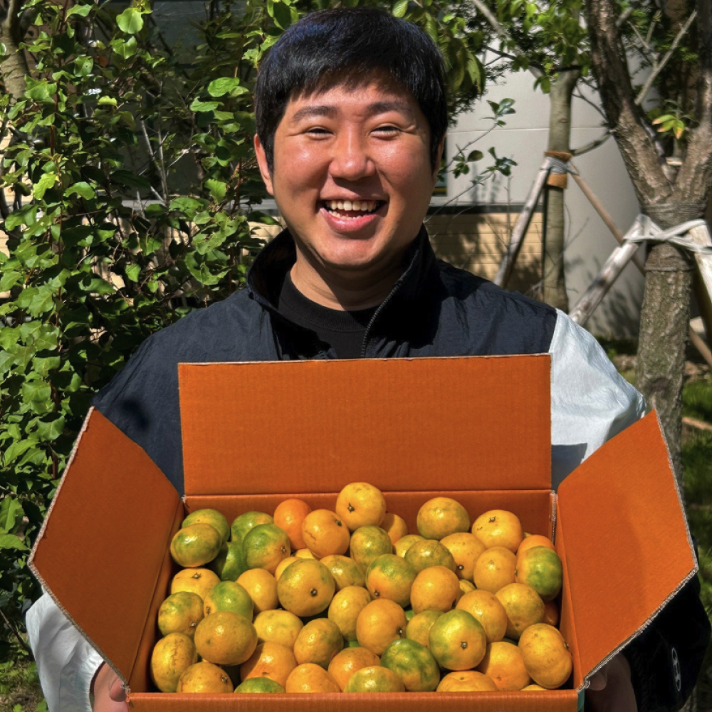 제주 황금향과 효돈 감귤, 집에서 즐기는 신선한 맛의 비밀