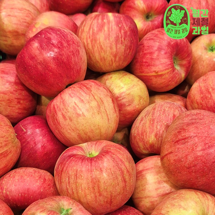 못생겨도 맛은 최고! 문경 사과 5kg과 청송 사과 10kg 추천