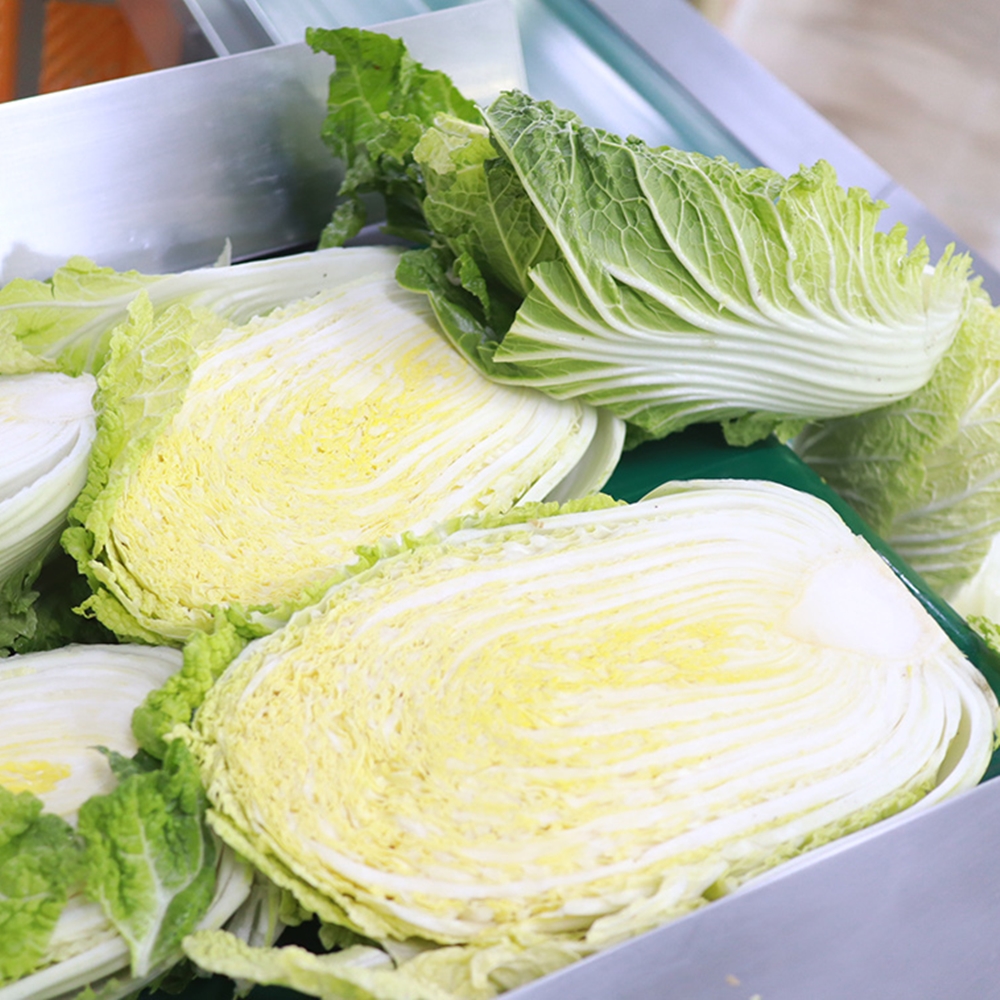 강원도 고랭지에서 자란 신선한 절임배추로 김장 준비 끝내기!